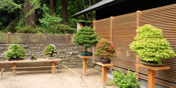 Teras dengan taman batu kerikil dan pohon bonsai di sudutnya